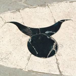 Meet your Posher, Wayne